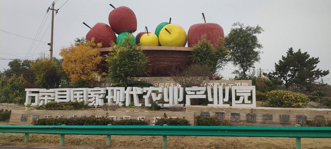 小苹果干出大事业 乡村振兴谱新篇